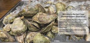 Cover photo for East Coast Shellfish Growers Association